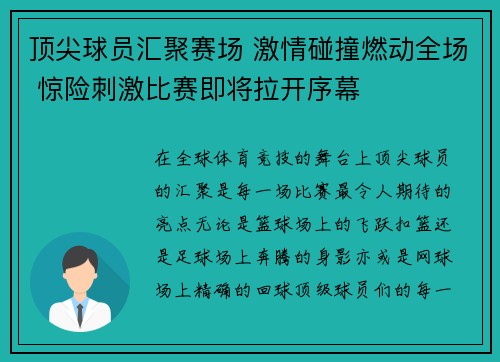 顶尖球员汇聚赛场 激情碰撞燃动全场 惊险刺激比赛即将拉开序幕